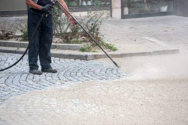 Best Fence Cleaning  in Mford, IL
